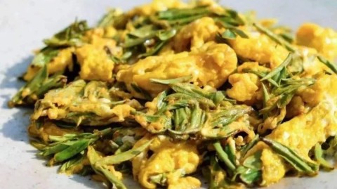 姑娘们的第二次逃跑：从德黑兰到黄金海岸，那条用命换来的路